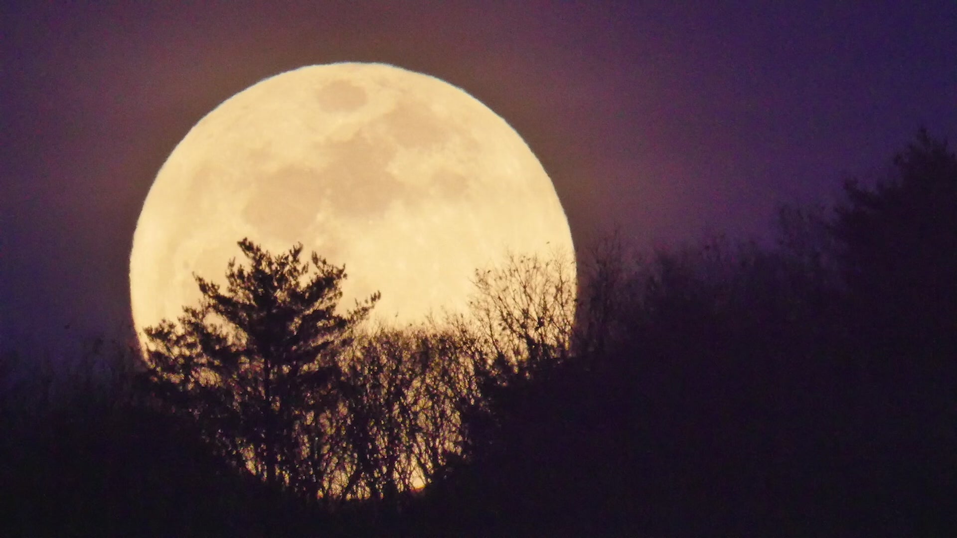 Changdeokgung Moonlight Tour video clip created by Kotea Heritage Service